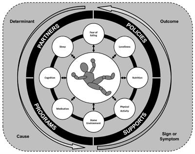 Multi-directional nature of falls among older adults: A rationale for prevention and management